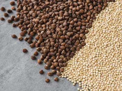 Nahaufnahme zweier Getreidehaufen auf grauem Stein: dunkle Buchweizenkörner links, helle goldene Quinoa-Körner rechts, an einer diagonalen Grenze aufeinandertreffend