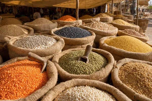 Marktstand unter einem Sonnensegel mit offenen Jutesäcken voller Grundnahrungsmittel: rote und grüne Linsen, weiße und schwarze Bohnen, Hirse, Reis und Gerste, in einigen Säcken stecken Holzschaufeln