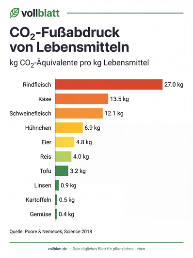 Vorschau: CO₂-Fußabdruck von Lebensmitteln
