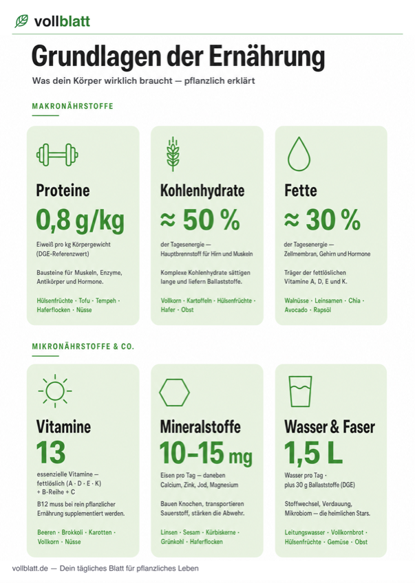 Vorschau: Grundlagen der Ernährung